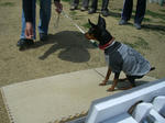 2008_04050001-2.jpg