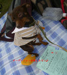 2008_04270009-2.jpg