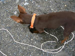 2008_05040070.jpg