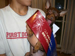 2008_05110003.jpg