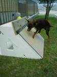 200805130930.jpg