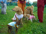 2008_05250007.jpg