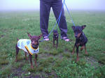 2008_05250029.jpg
