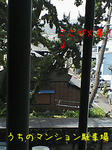 45766a44jpeg