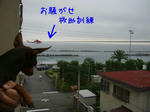 2008_06270009-2.JPG