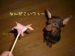 2008_06290014.-2jpg.JPG
