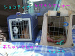 2008_07190001-2.JPG