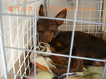 2008_07190002.-2jpg.JPG