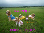 2008_07230005-2.JPG