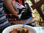 2008_08290008-2.jpg