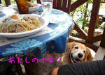 2008_08290012-2.JPG