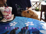 2008_08290013-2jpg.JPG