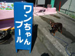2008_09030009.jpg