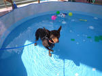 2008_09030010.jpg