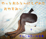 2008_10110004-2.JPG