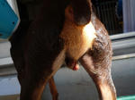 2008_10150002.jpg