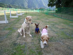 2008_10300010-2.jpg