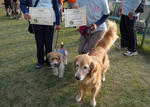2008_11020027-2.jpg