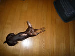 2008_11220025-2.jpg