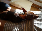 2008_11300001-2.jpg