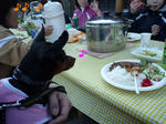 2008_12030002-2.JPG