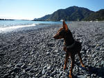 2008_12070003-2.jpg