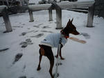 2008_12140005-2.jpg