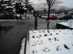 2008_12140009-2.jpg
