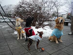 2008_12140011-2.JPG