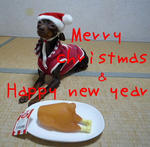 2008_12240006-2.JPG