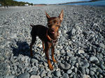 2009_01030018-2.jpg