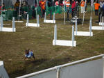 2009_01180024-2.jpg