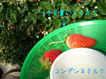 2009_01280023-2.JPG