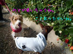 2009_01280024-2.JPG