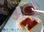 2009_01280026-2.JPG