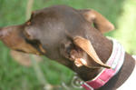 IMG_6721S.jpg