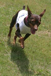 IMG_6771-2S.jpg