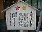 2009_11040004-2.JPG