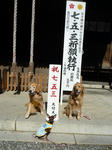 2009_11040014-2.JPG