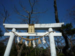 2009_11040019-2.jpg