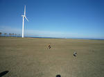2009_11040043-2.jpg