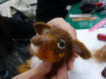 2009_11110010-2.JPG