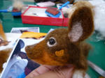 2009_11110014.JPG