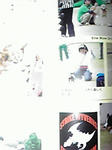 200910281545000.jpg