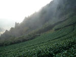 2009_11230019-2.jpg