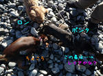2009_12040024-2.JPG