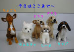 2009_12090016-2.JPG