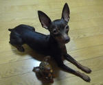 2009_12090018-2.JPG