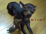2009_12090025-2.JPG