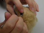 2009_12160010-2.JPG
